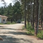 Şiddetli Rüzgâr Alarmı: Çamlık Mesire Alanı Geçici Olarak Kapatıldı